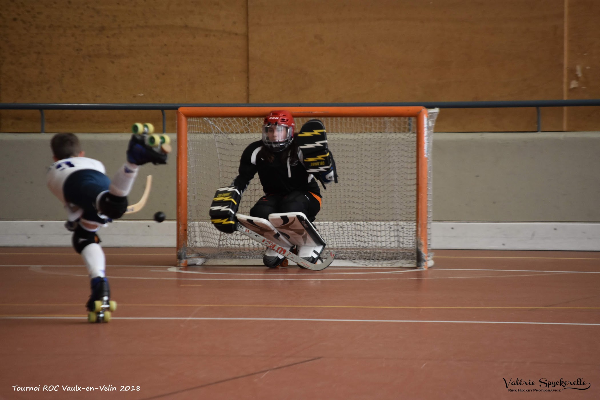 DSC_1310 copie