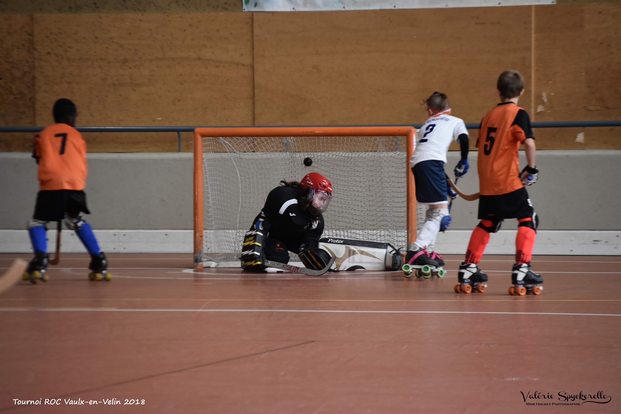 DSC_1346 copie