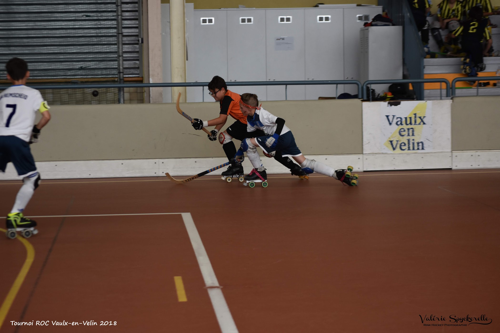 DSC_1364 copie